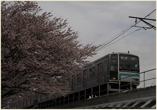 001_桜と鉄道2010.jpg
