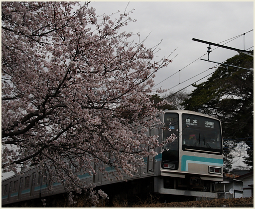 002_桜と鉄道2010.jpg