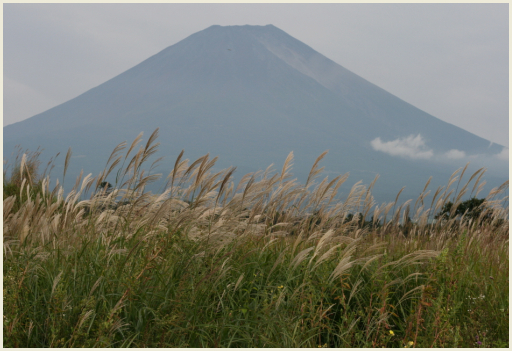 014_ススキと富士山.jpg