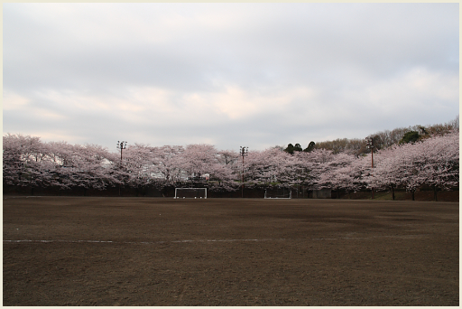 01_桜公園.jpg
