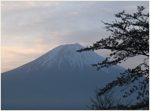 04_葉桜と富士山.jpg
